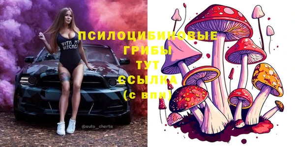 амф Алзамай