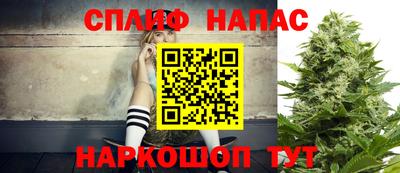 ПСИЛОЦИБИНОВЫЕ ГРИБЫ Вязники