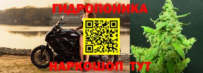 тгк Вязьма