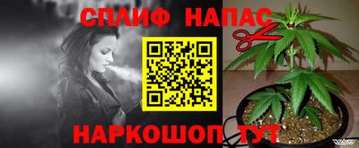 тгк Вязьма