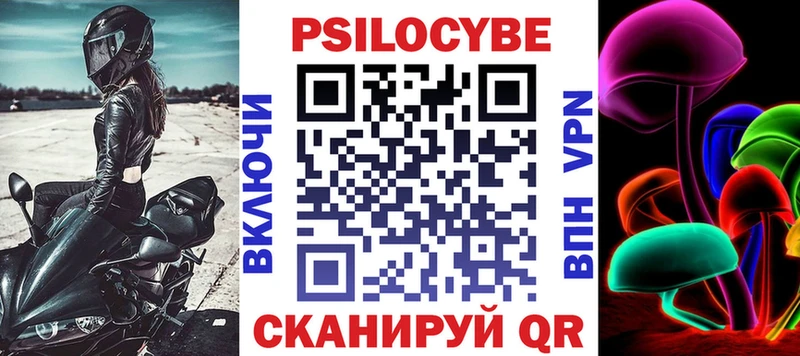 KRAKEN как войти  как найти   Карасук  Галлюциногенные грибы мицелий 