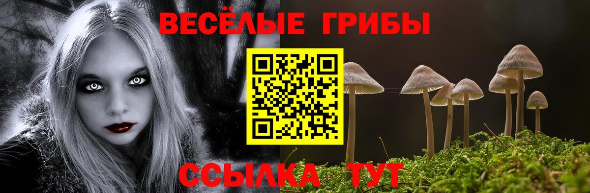 Псилоцибиновые грибы MAGIC MUSHROOMS Карасук